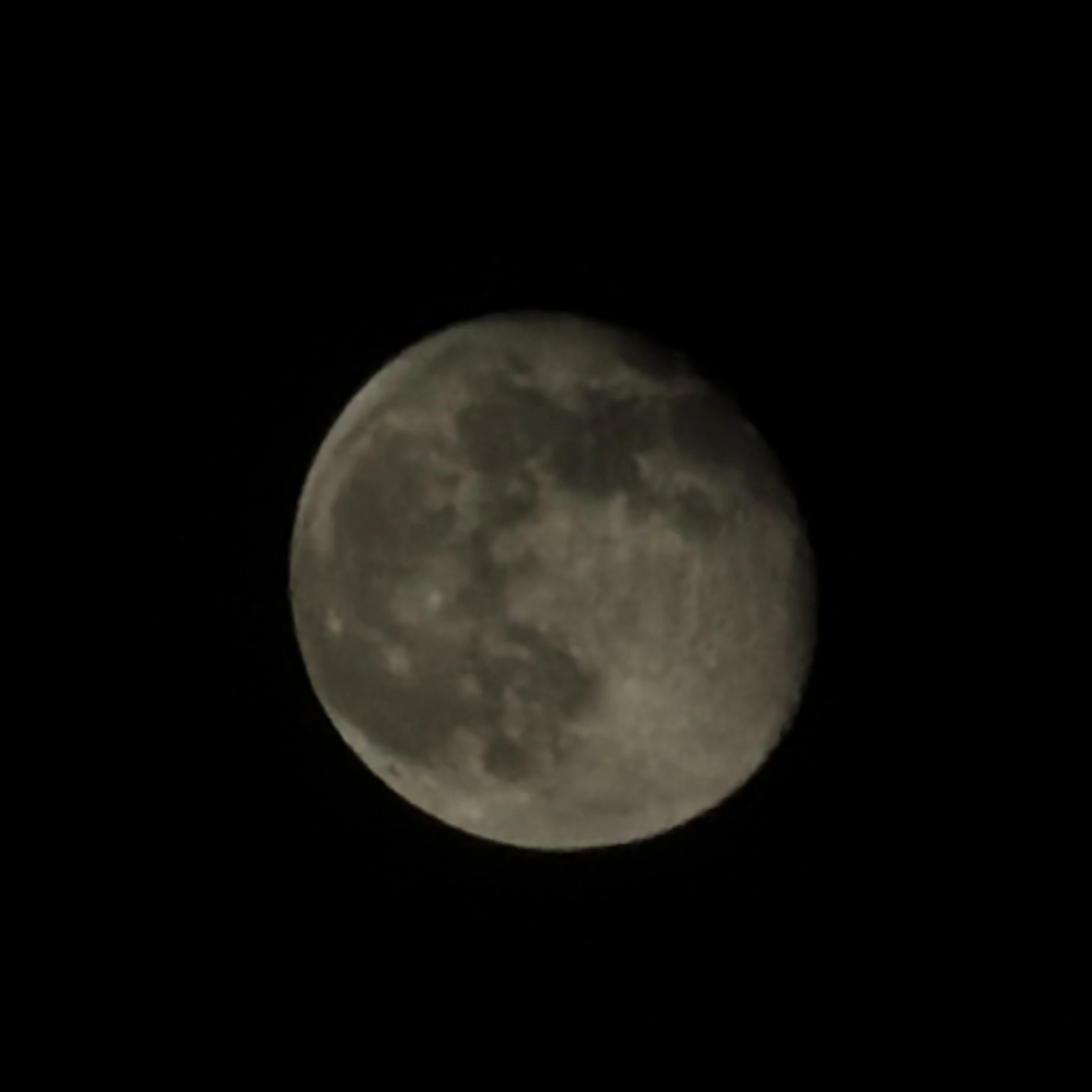 올데프 (여우도 포함)