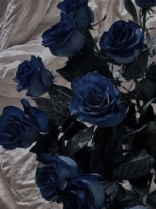 미수반 대표 이미지