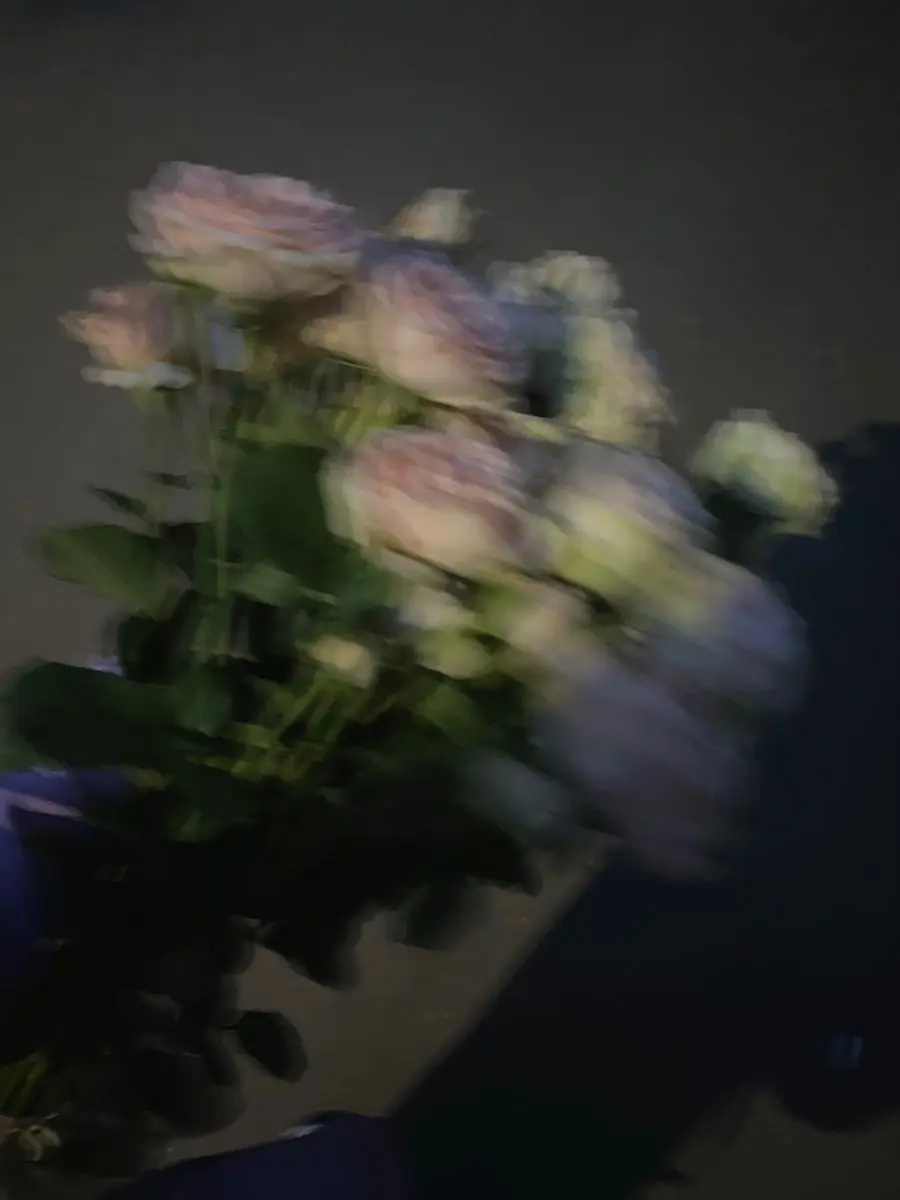 chenkaiwenioveyou의 (“