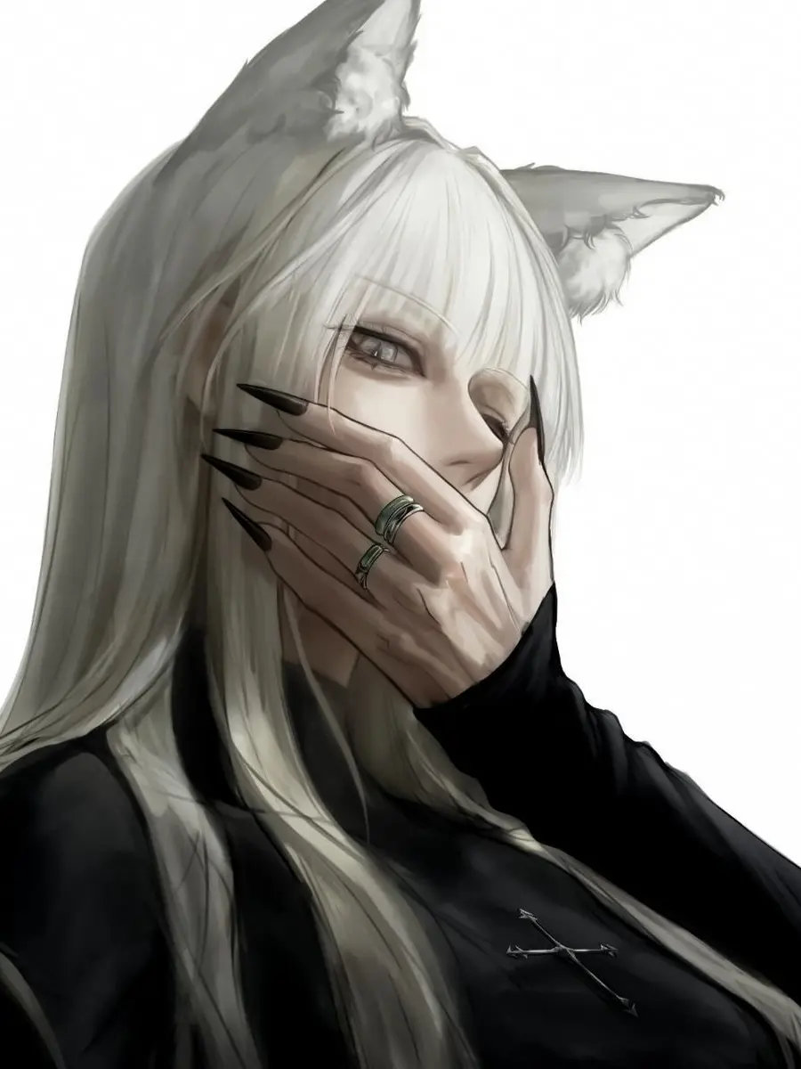 Lean486의 매일 앵기는 고양이?!