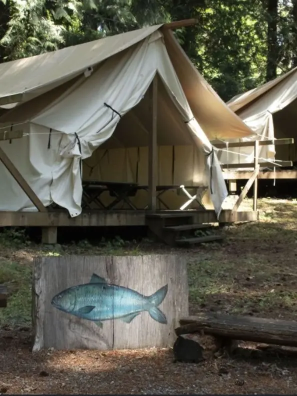 JaggedBat2914의 Summer Camp