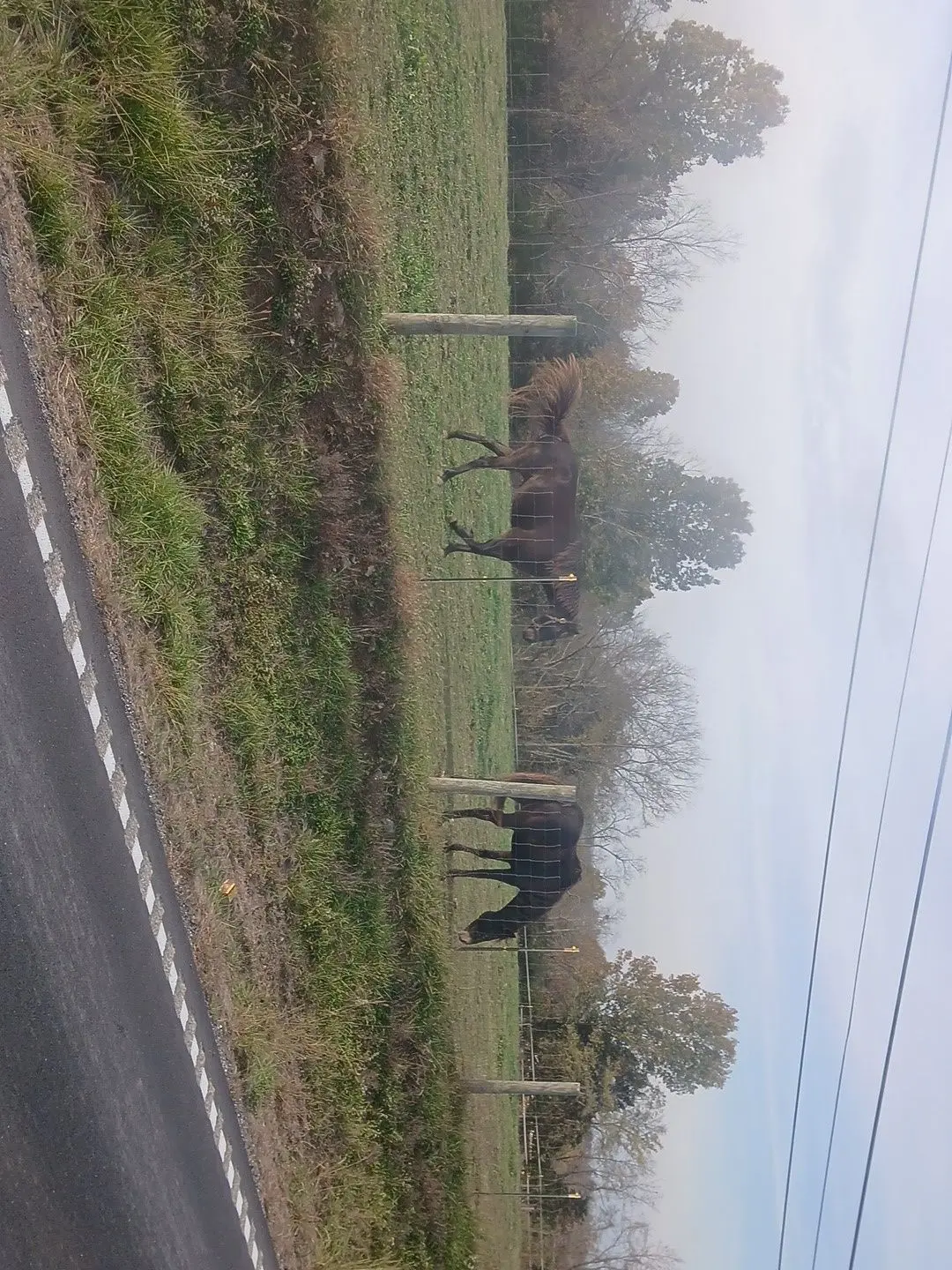 AgileTwine4157의 Friend group