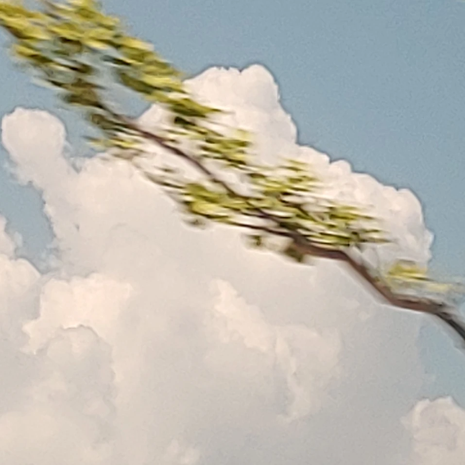 집사TV