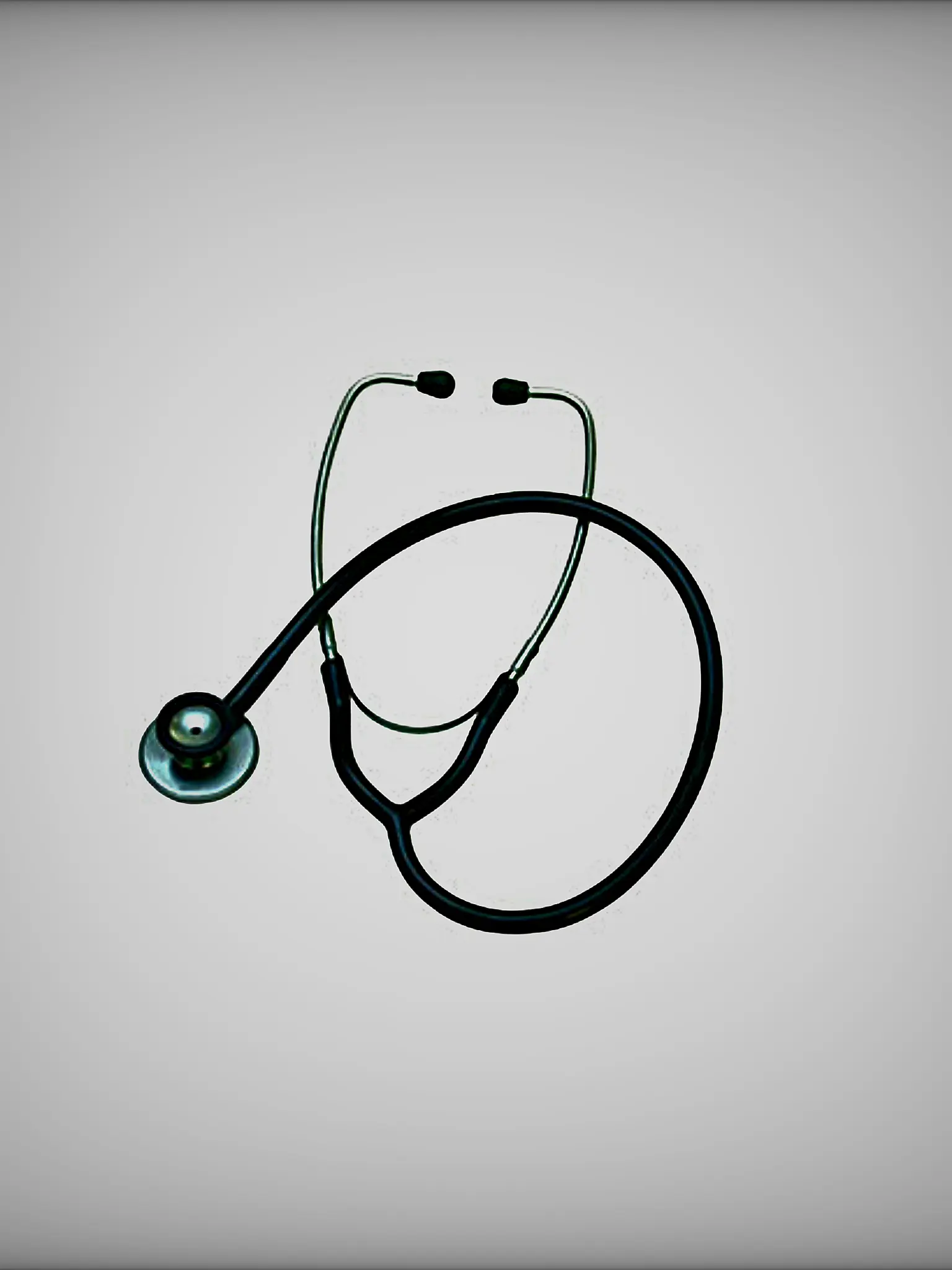 Bagopasibarkk의 고영은