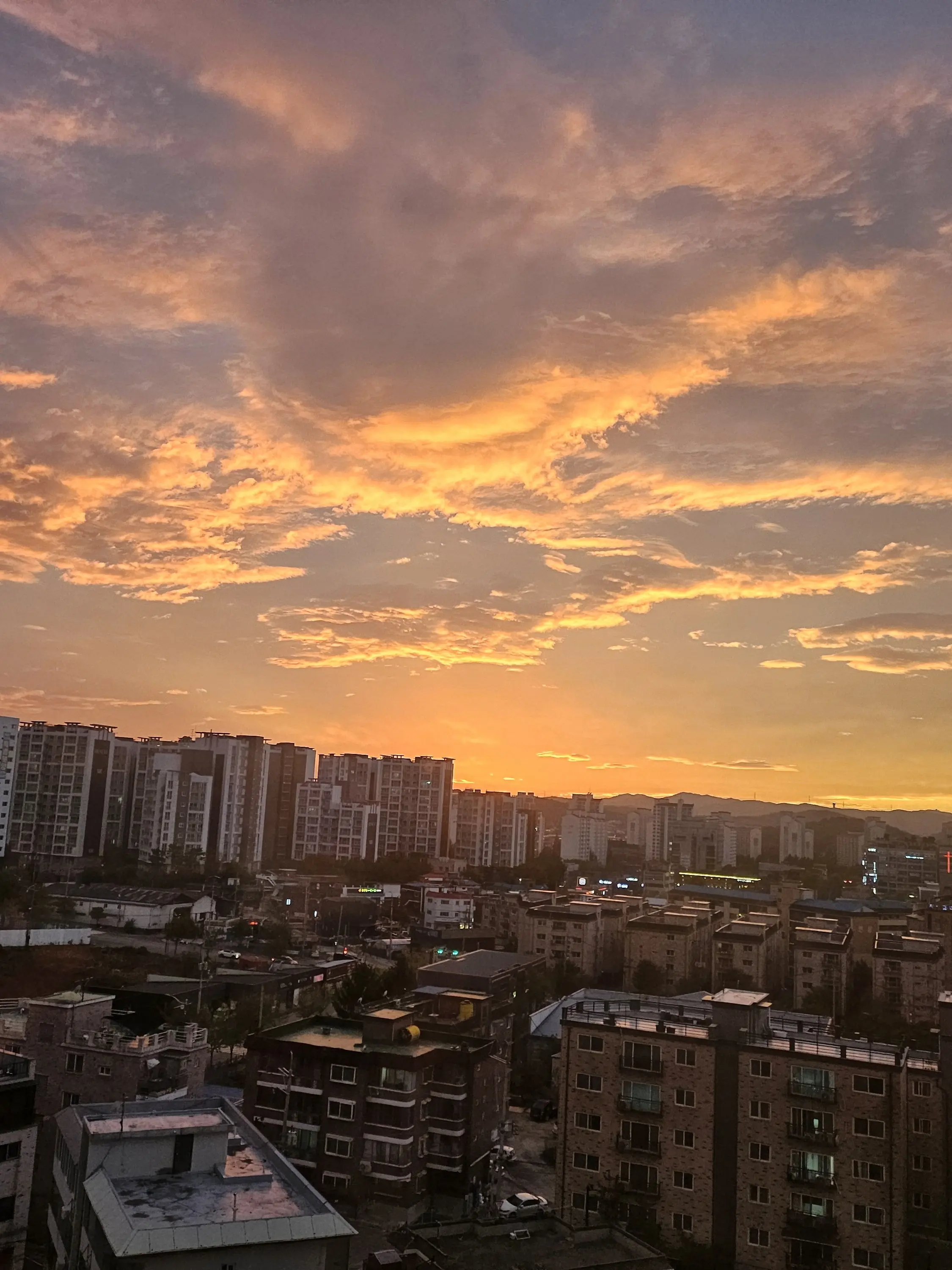 sbqmsbqm의 자캐들의 동거