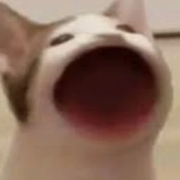 영상 올릴려고 하는 집사(그랜절!!)