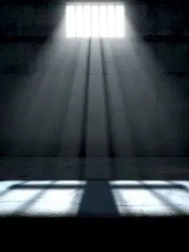 PlainPhoto1747의 9人の誘拐犯