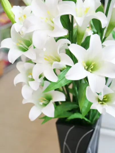 Akima_Mechica의 고백