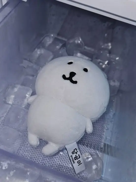 ItchyCamel3363의 태초의 가치