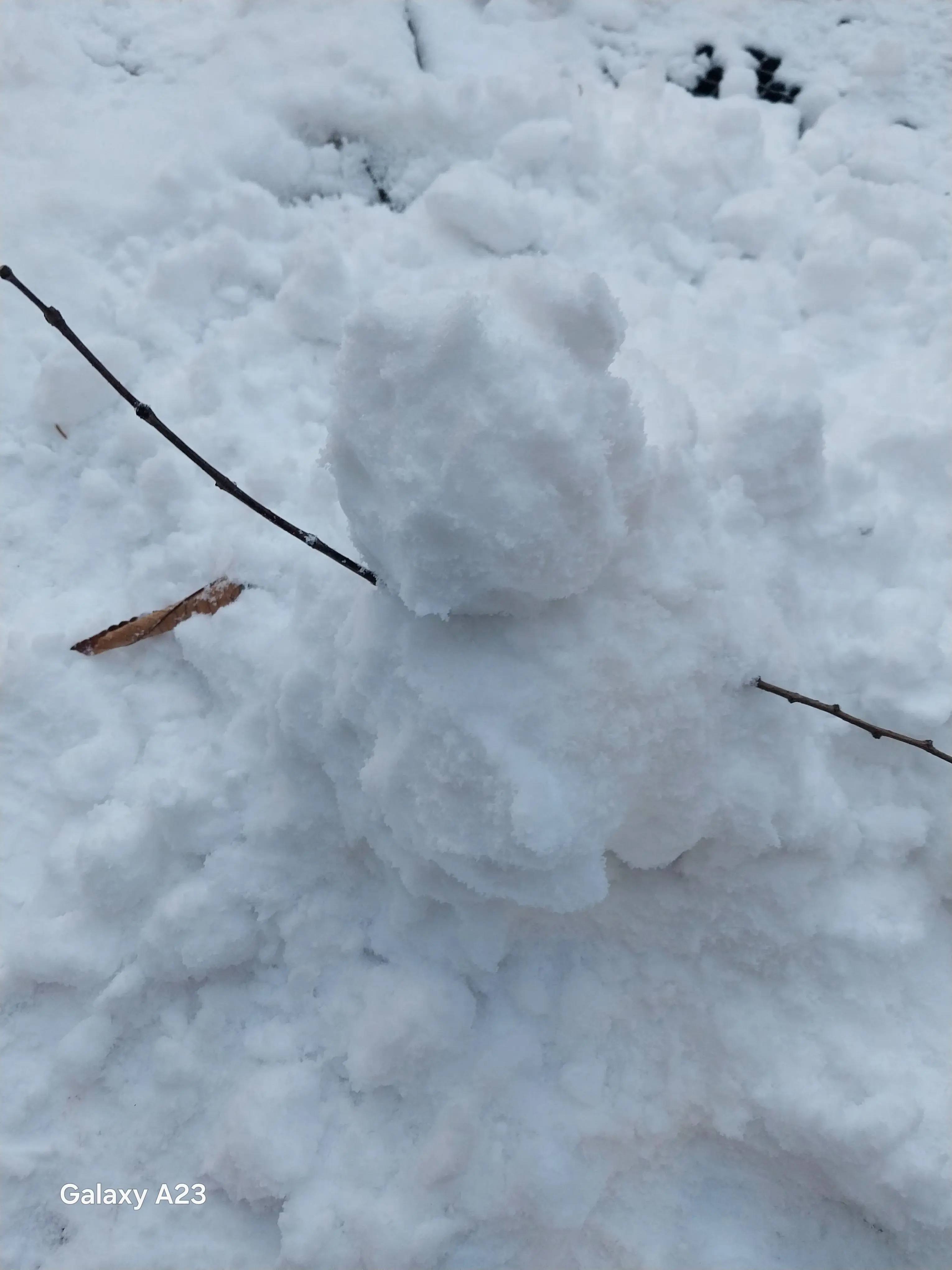 yerilyh_85r67의 99일 수학여행+이여우x한늑대