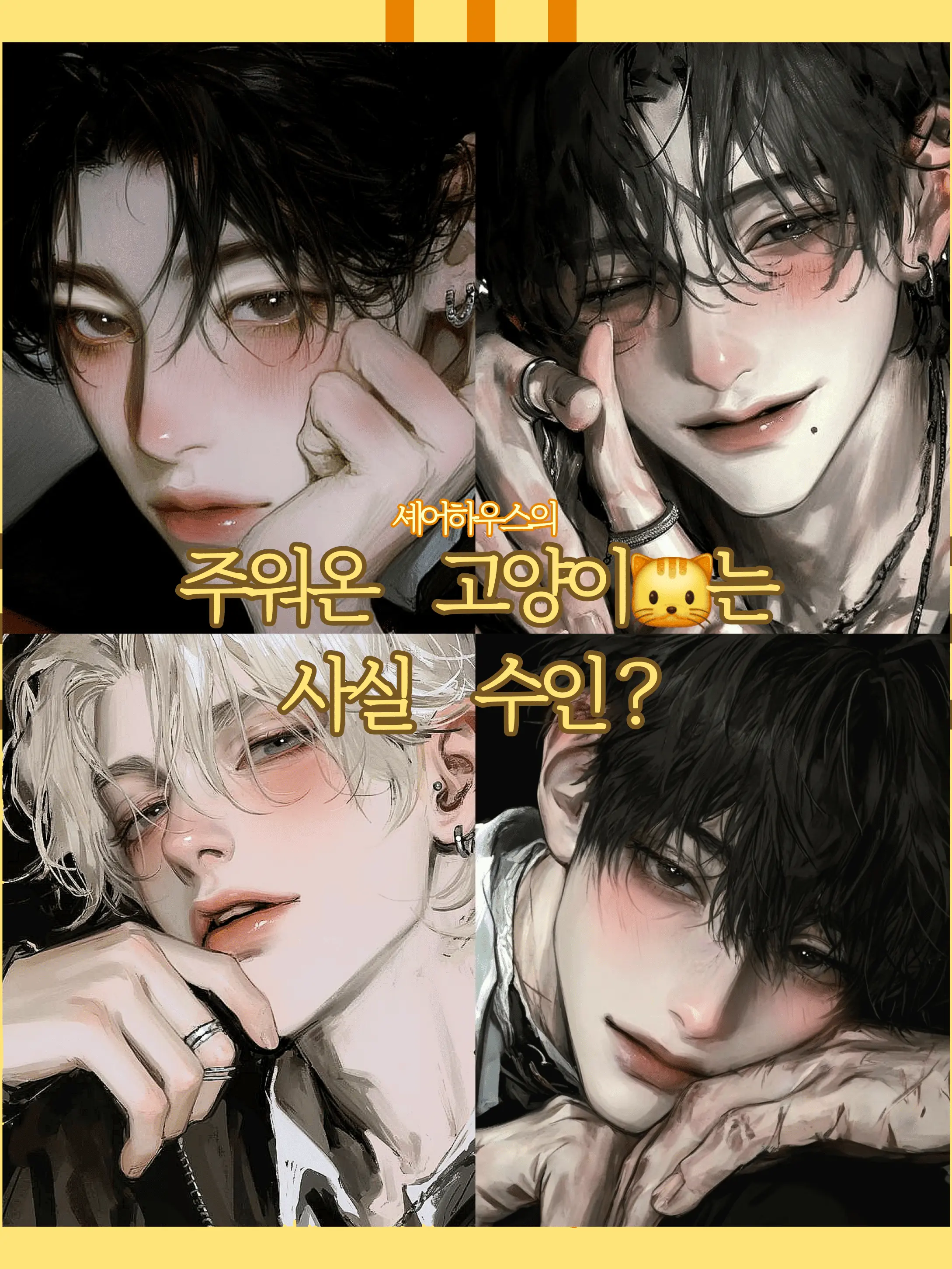 Syzinh의 🐾 셰어하우스의 고양이 입주자