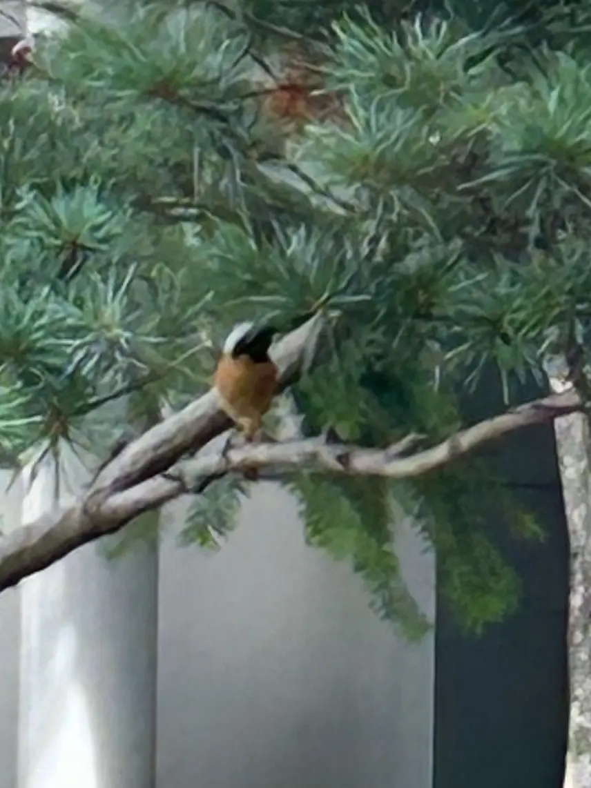 SnowyShirt0404의 청빛하숙집