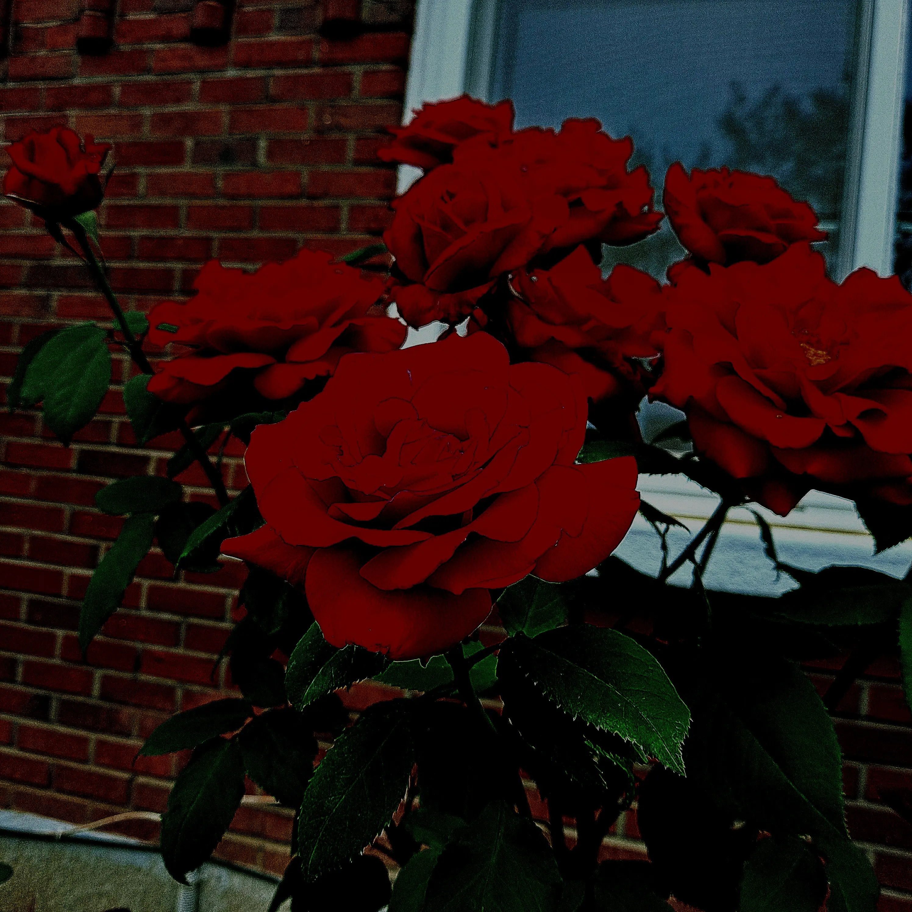 K4T0의 ..평화로운 날, 아마도.