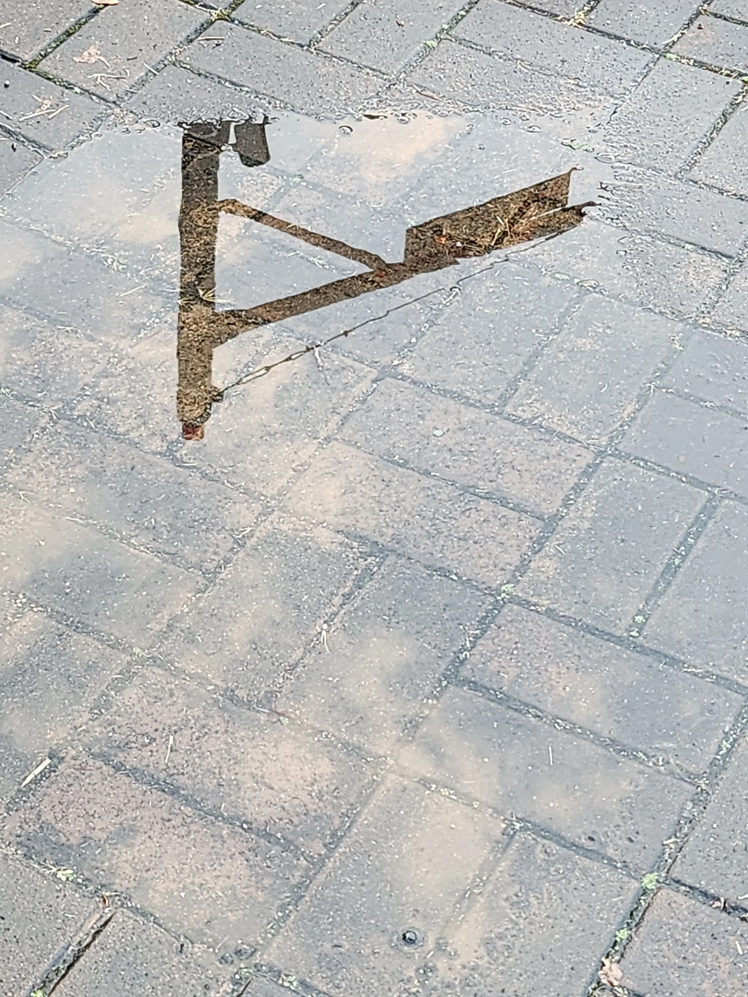 singgonum의 믿지는 않지만 협력하는 관계🌌