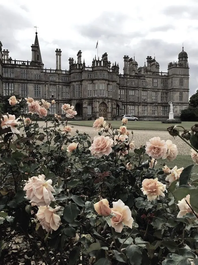 Paiting의 ￶ᅠᅠᅠᅠ￶ᅠ