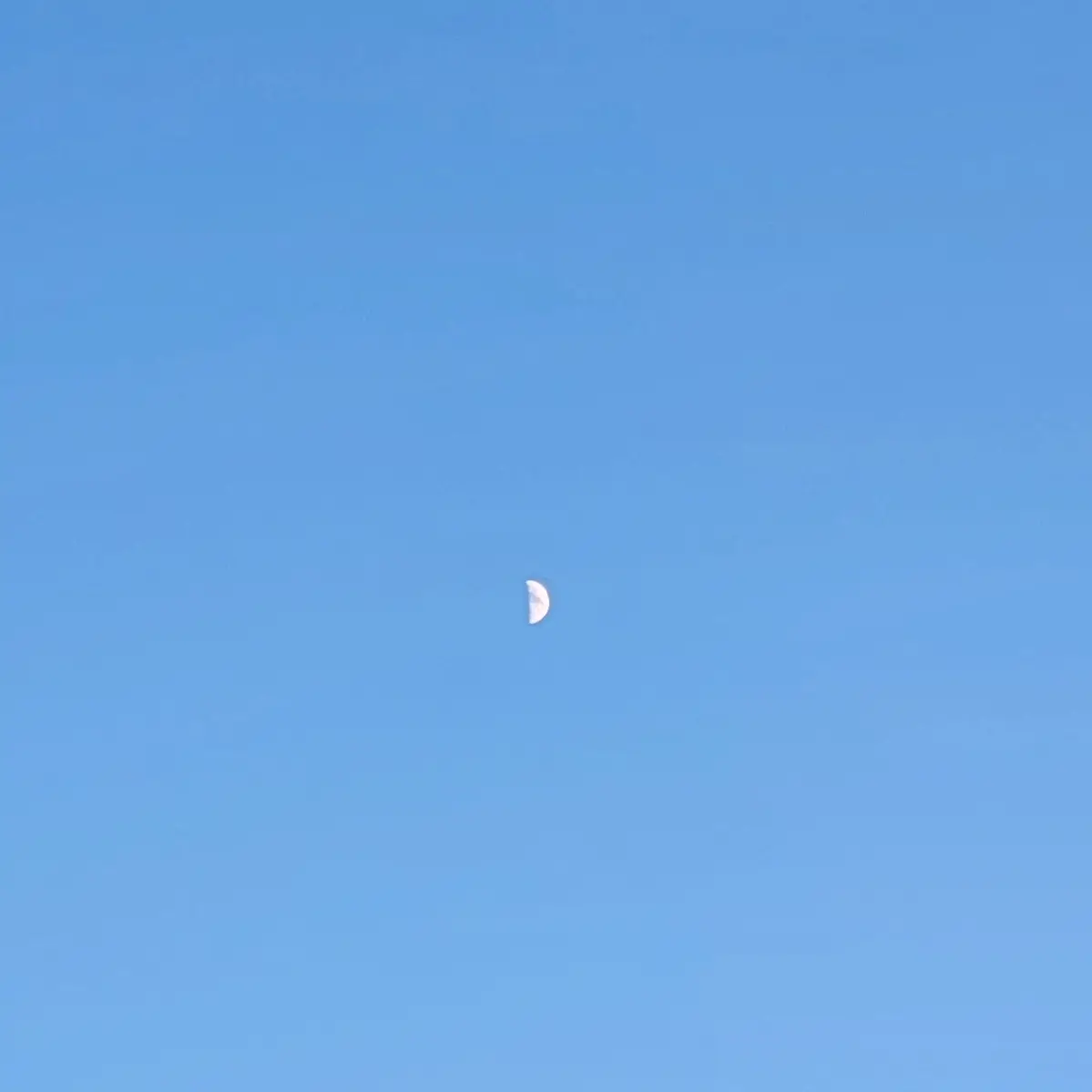 Kang_Seunghwan의 이새롬