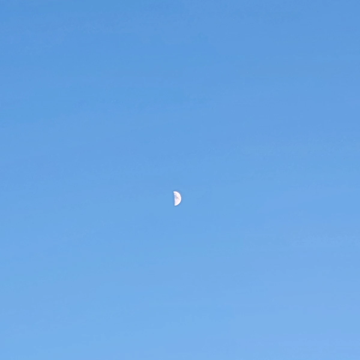이새롬