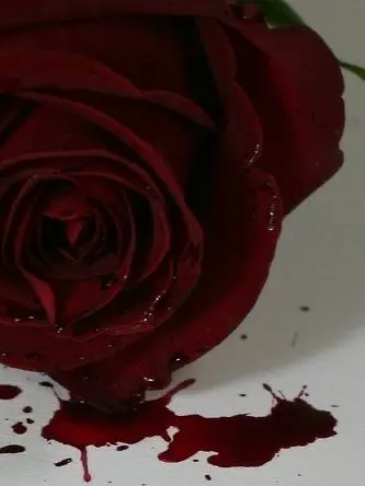 Wakwha0402의 난 잠시 쉬어가, 곁에 머물게—