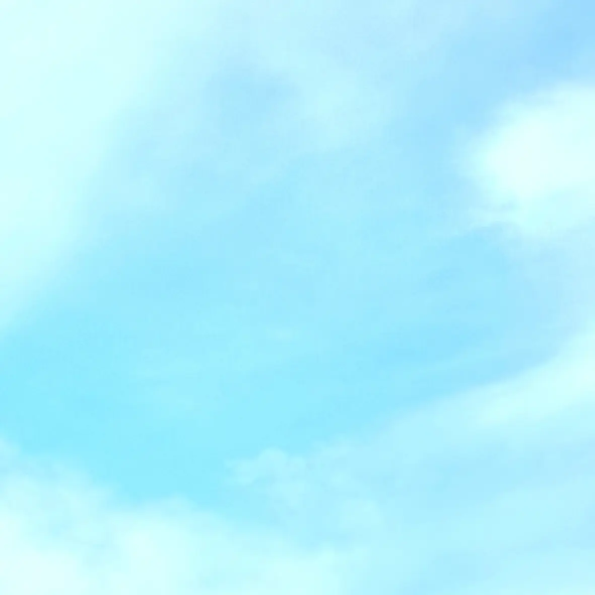 MeltyRupee1870의 토키토 무이치로