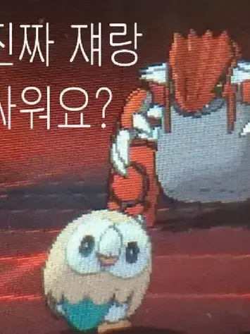 WaryBoy2105의 카지가 당신을 좋아한다.