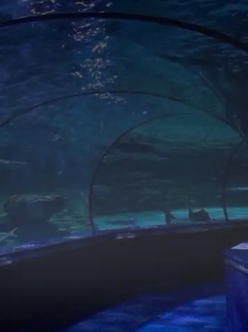 weyydd의 아쿠아리움 청소 아르바이트입니다.