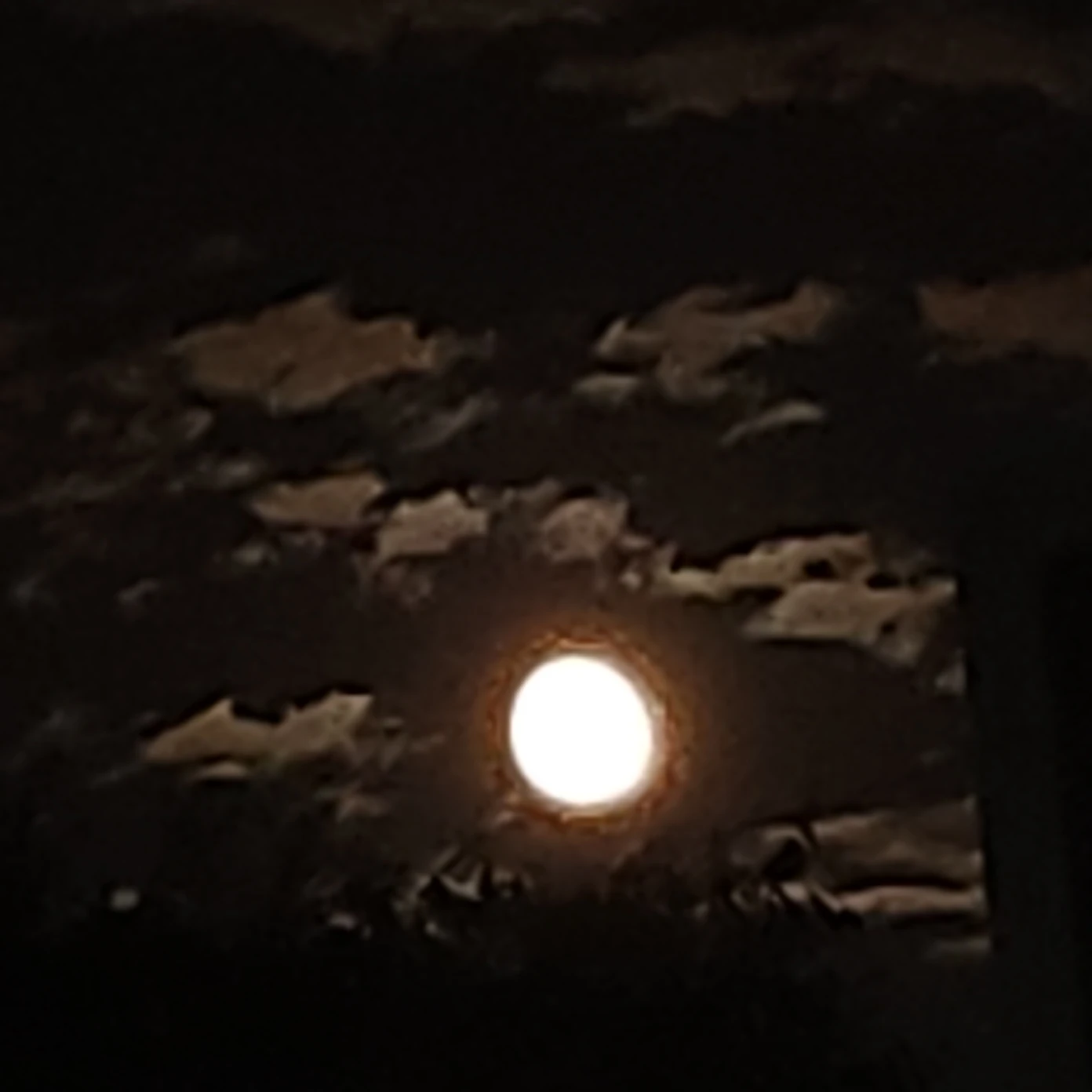 사랑해요 당신을,