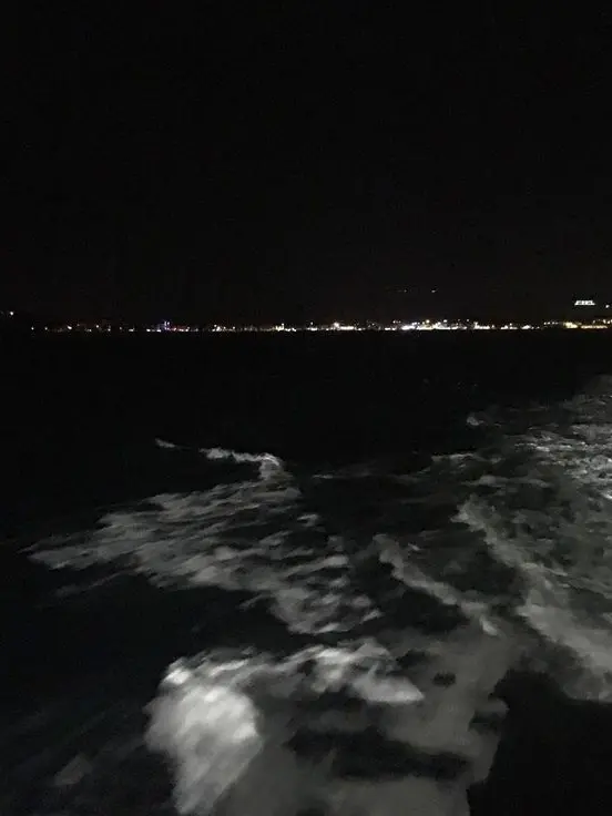 what_me의 全色盲.