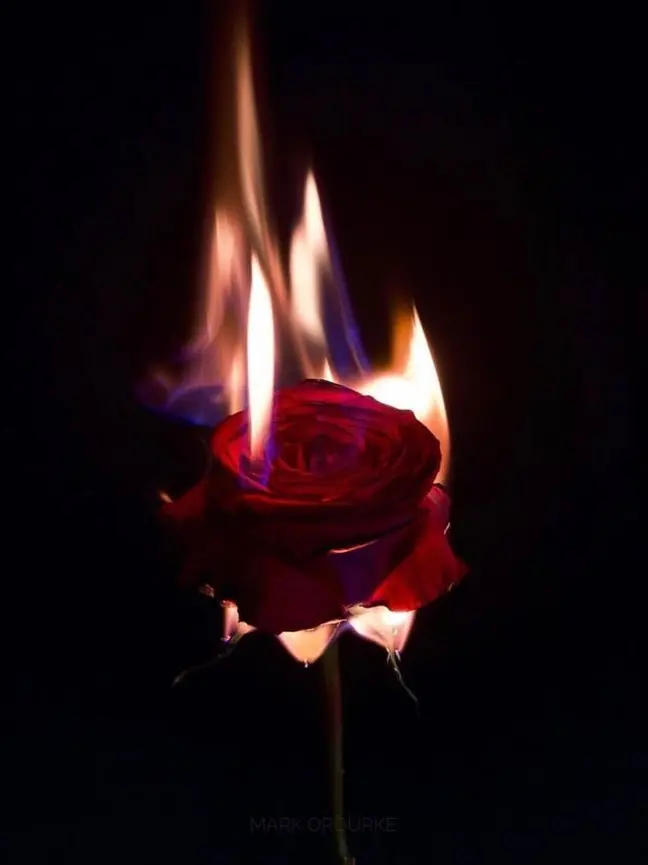 GURGUR의 한 소녀가 망가지는 과정 pt.3