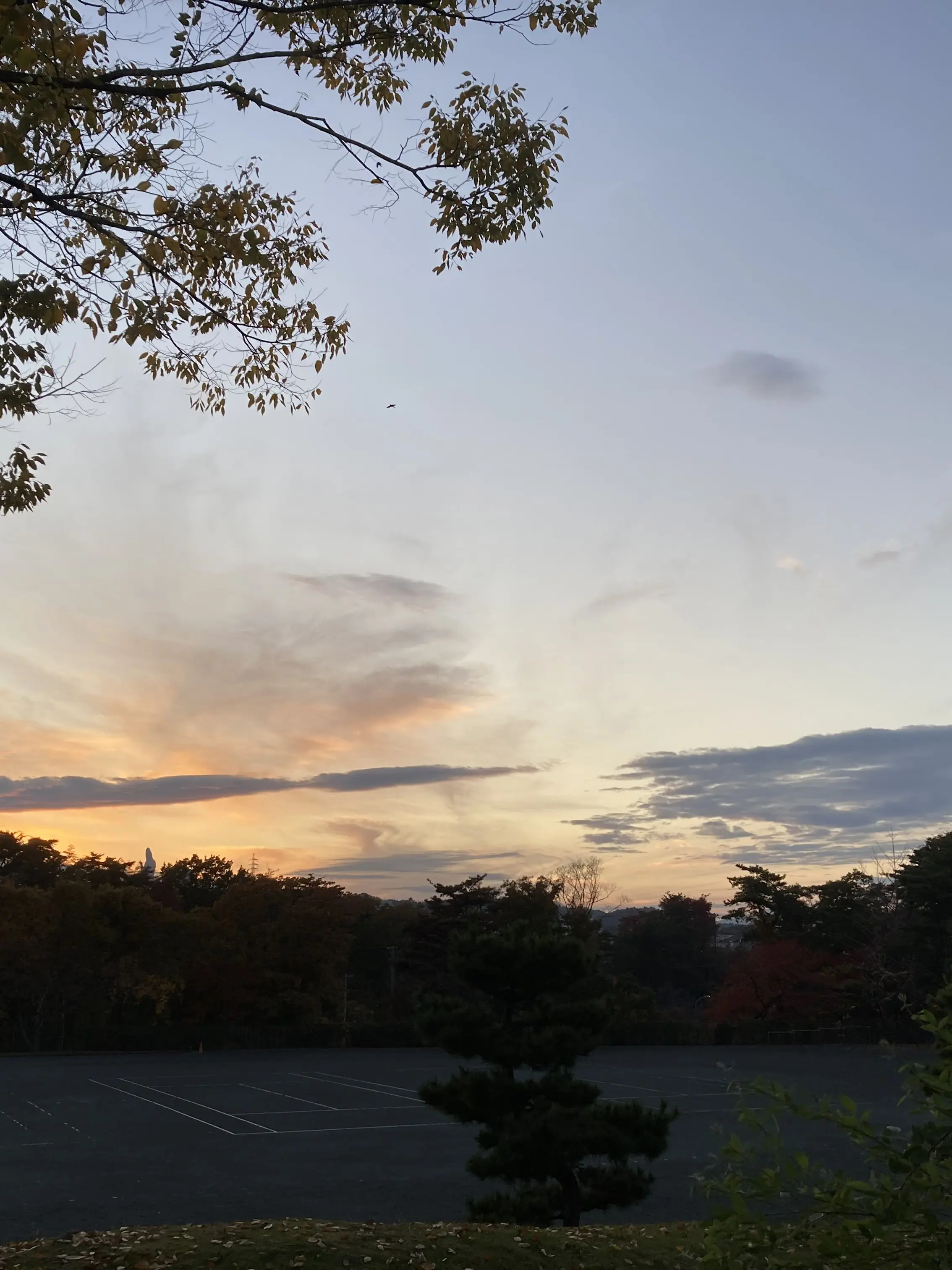 LushSwamp4193의 学校に行こう