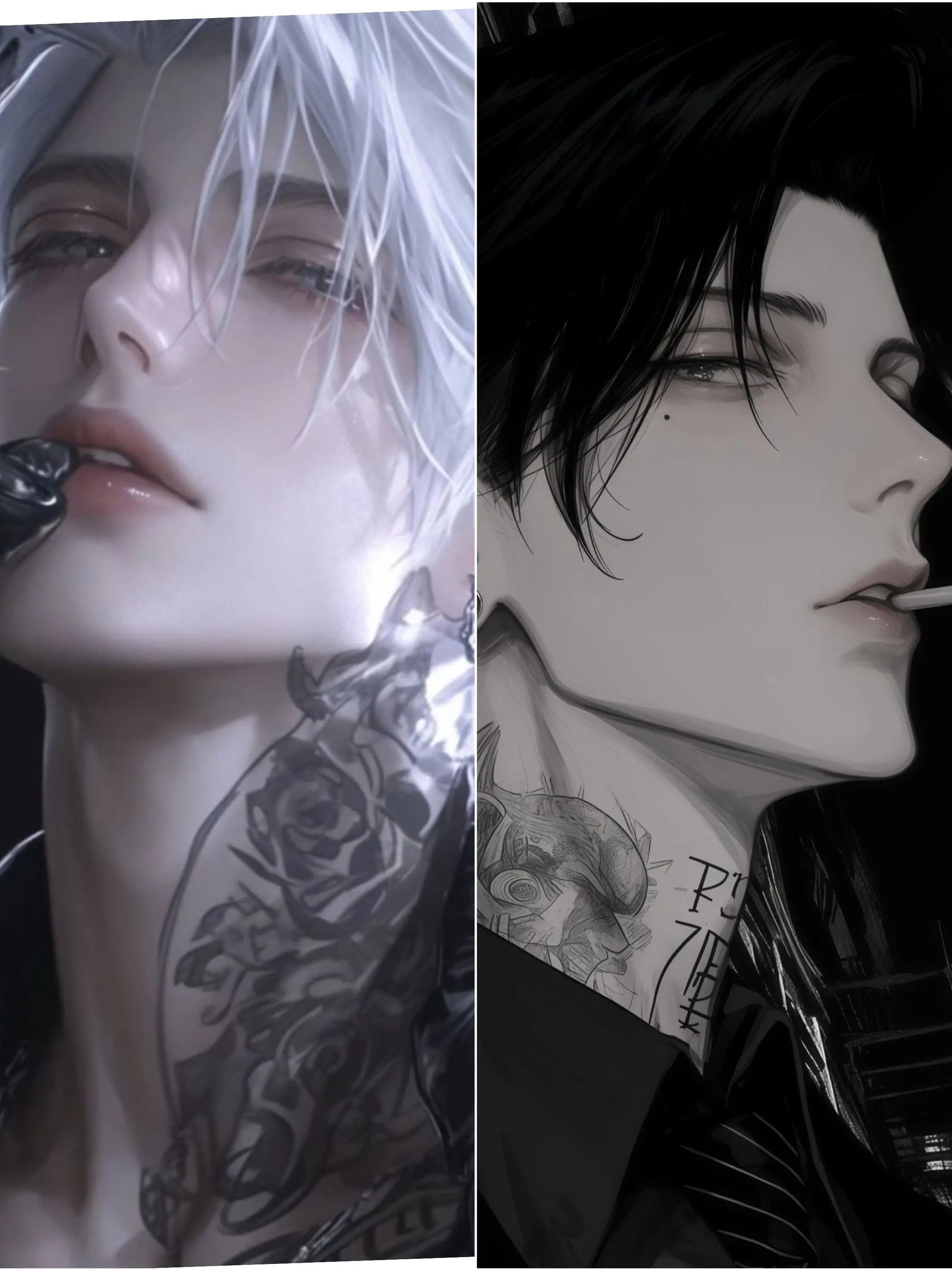 LightValve5660의 피로 맺은 파트너십