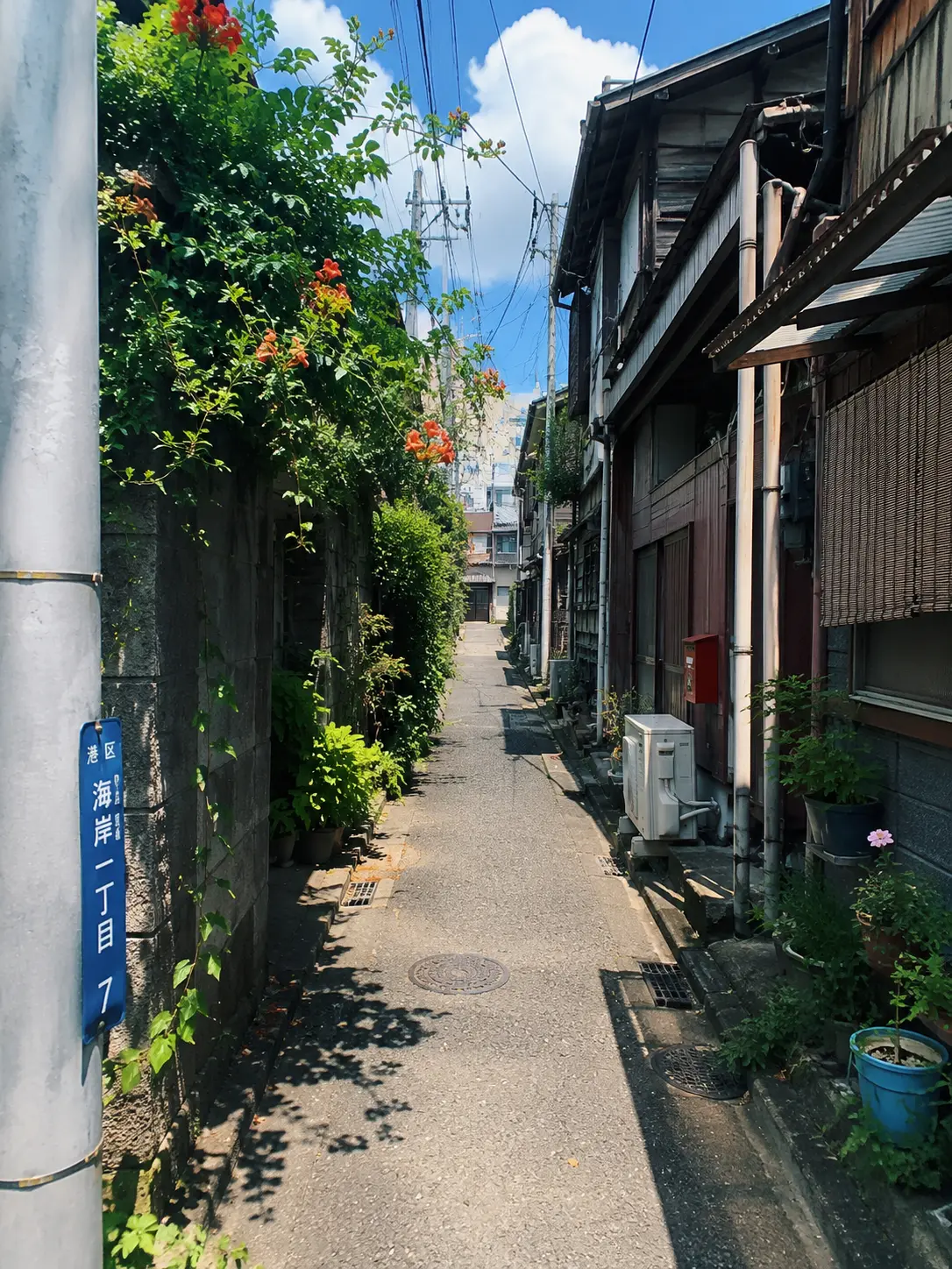NoisyCard1849의 捨て子(Summer ver)