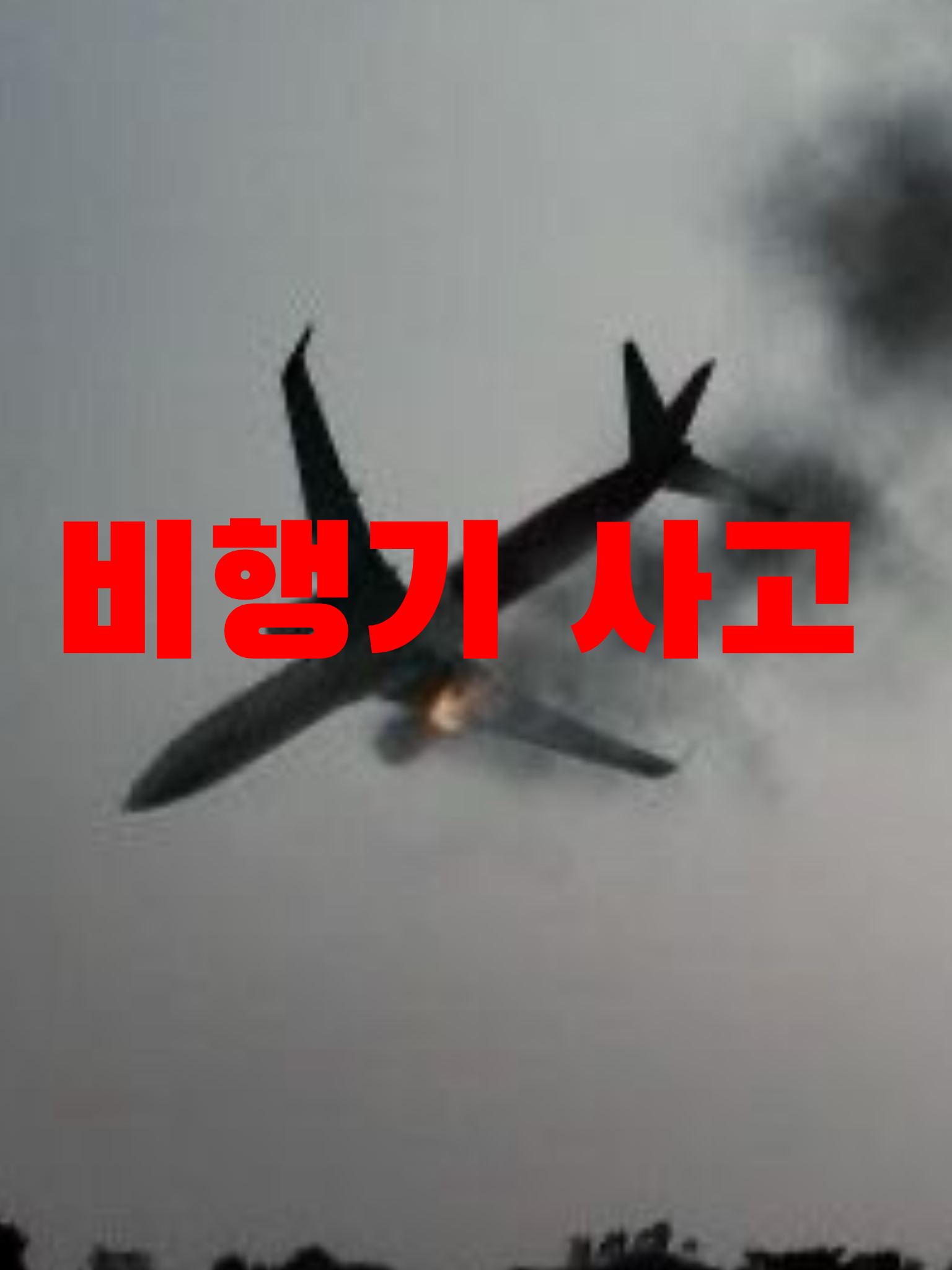 비행기가 추락했다 대표 이미지