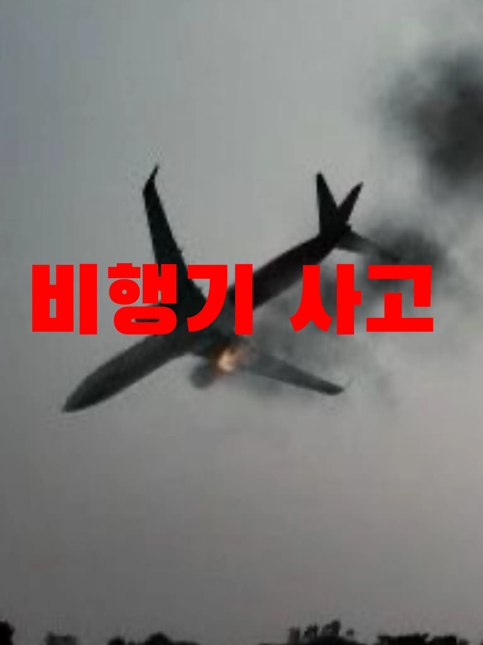 BANA_DING의 비행기가 추락했다