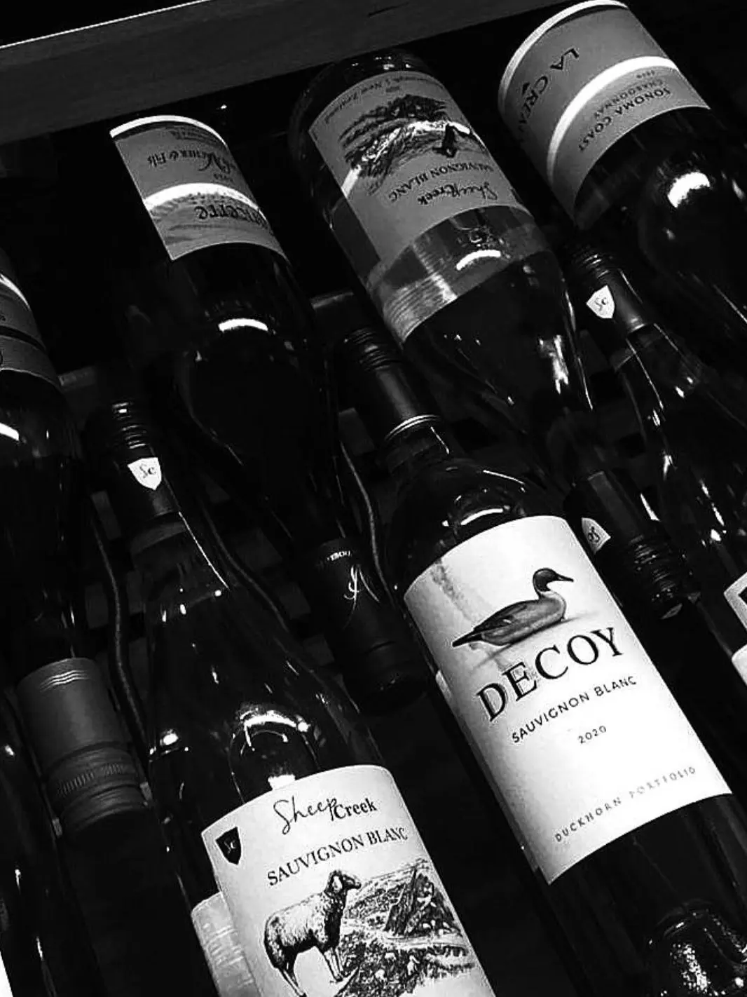 1_00의 예술대학교 뮤지컬과