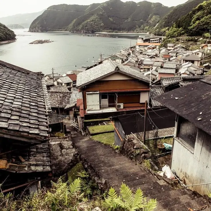 Yes_so_what.의 고양이 섬