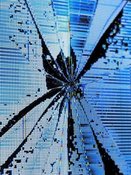 TrendyBrain1840의 박서원