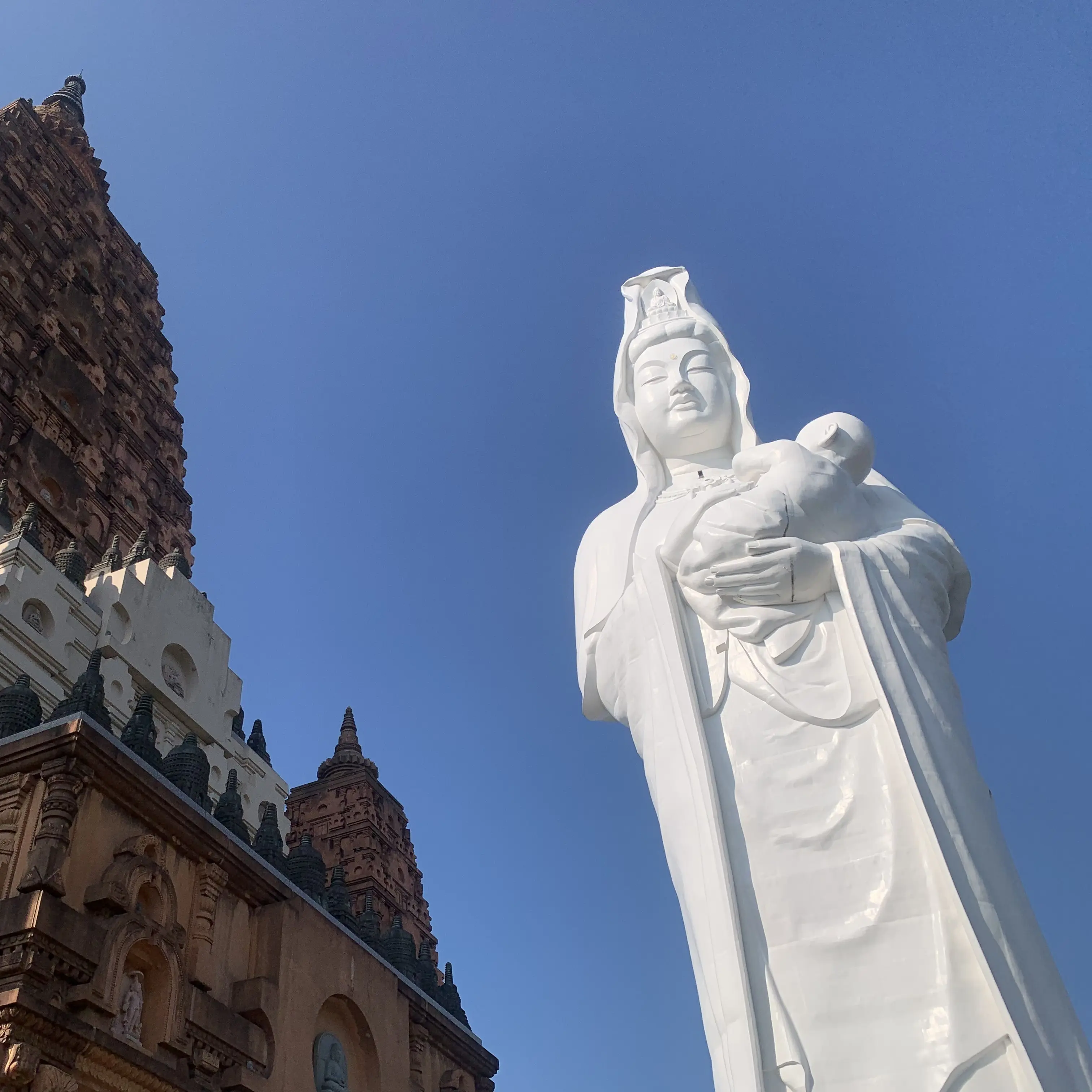 SneakyFate5126의 異世界転生