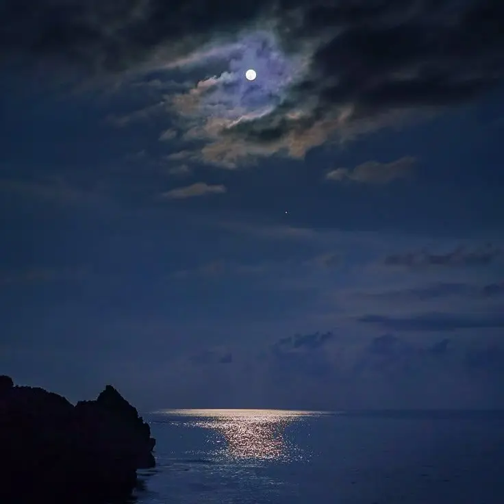 sho_nyan_0210의 ㅤ　/　A i r　_　,