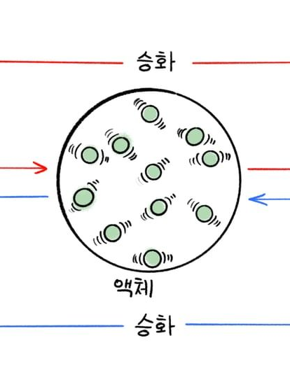물질변화 크루 대표 이미지