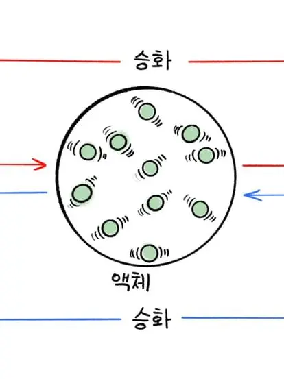 DearKnob6339의 물질변화 크루
