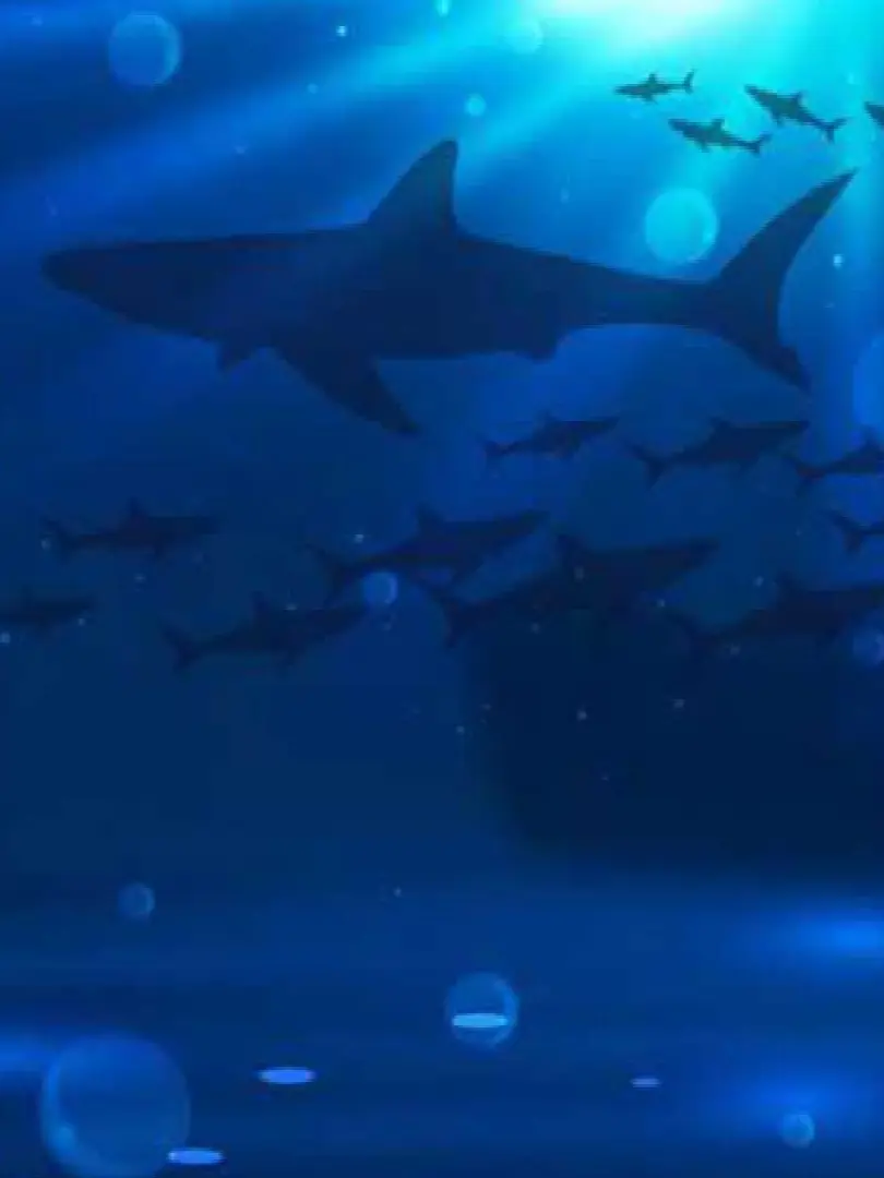 VitalPlane9955의 World of Mermaids