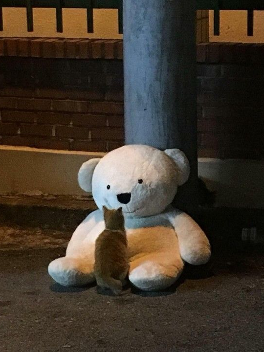 & 대표 이미지