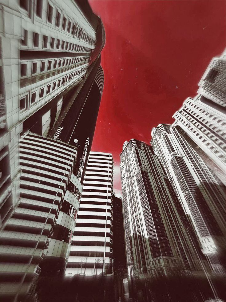 Dream Paradise. 대표 이미지