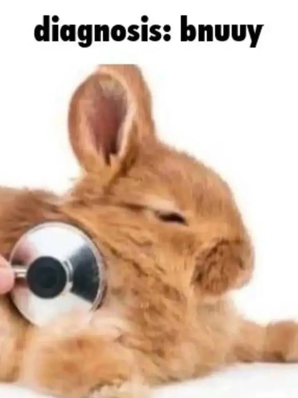 AcookedTATER의 The carrot muncher