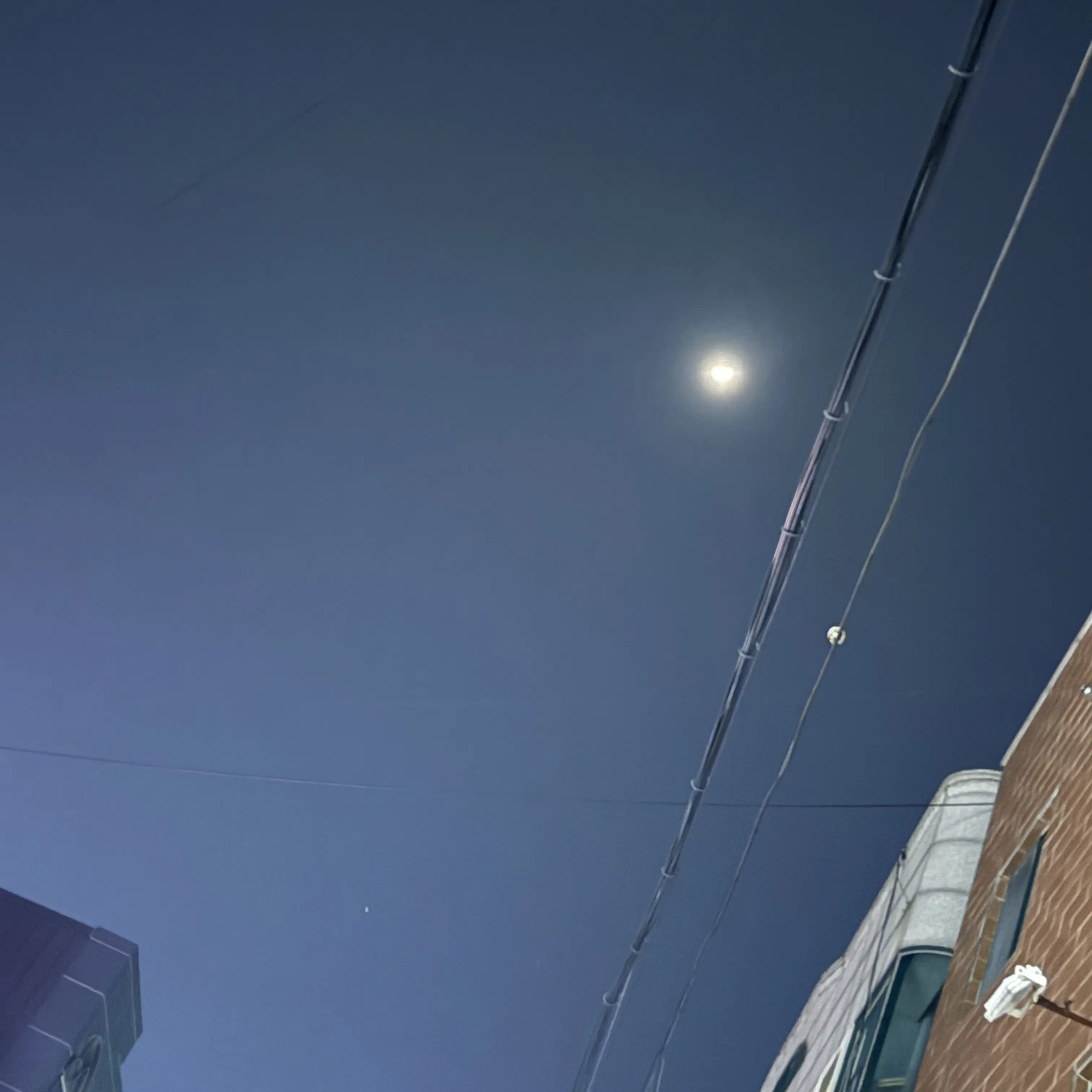 BrutalBowl6713의 오어ㅓ어어