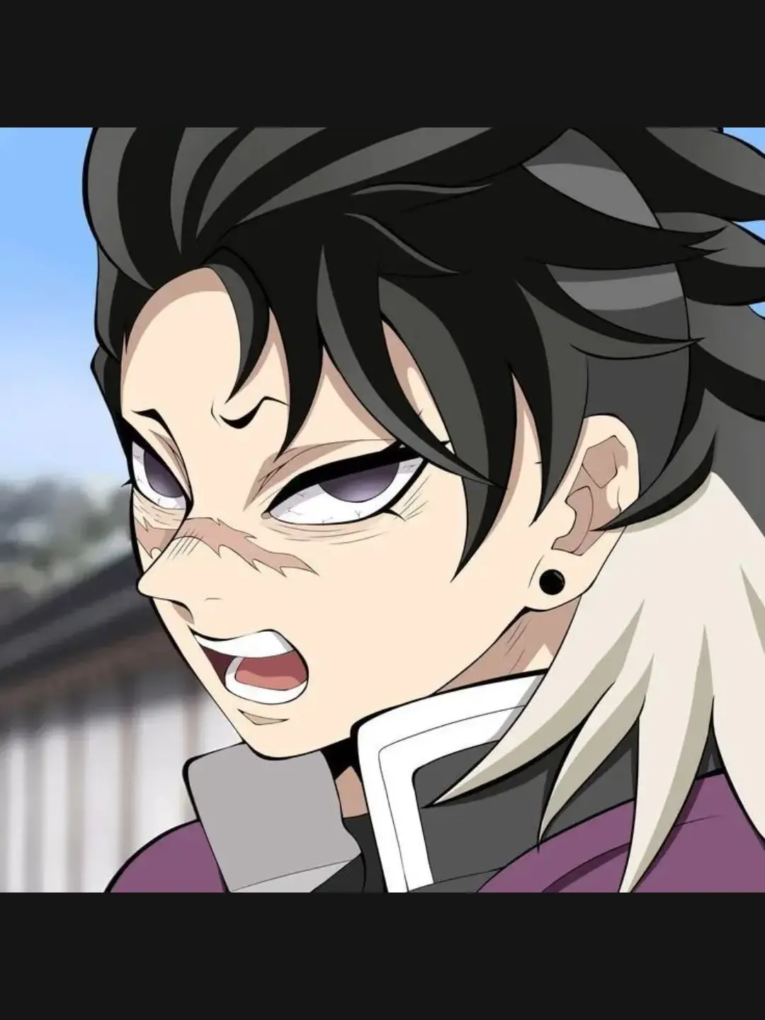 rara2012의 새로운 기둥들+(여우)개인용