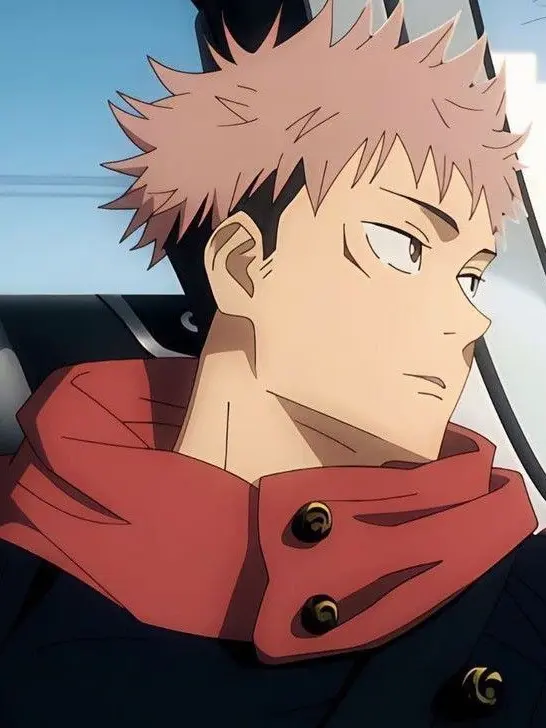 11_03의 虎杖 悠仁