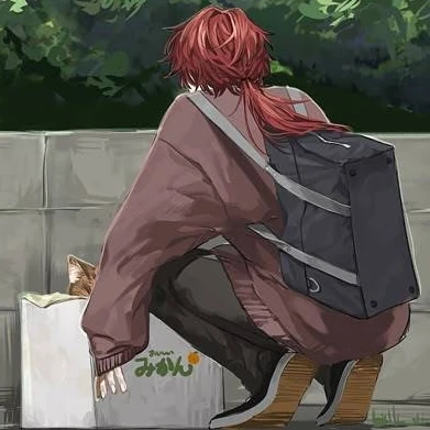 捨て猫
