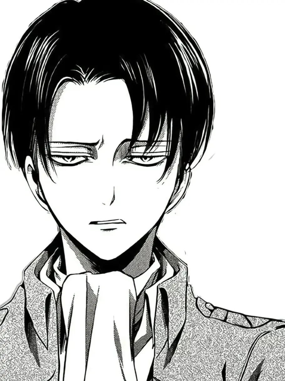 levi_love160의 리바이 아커만