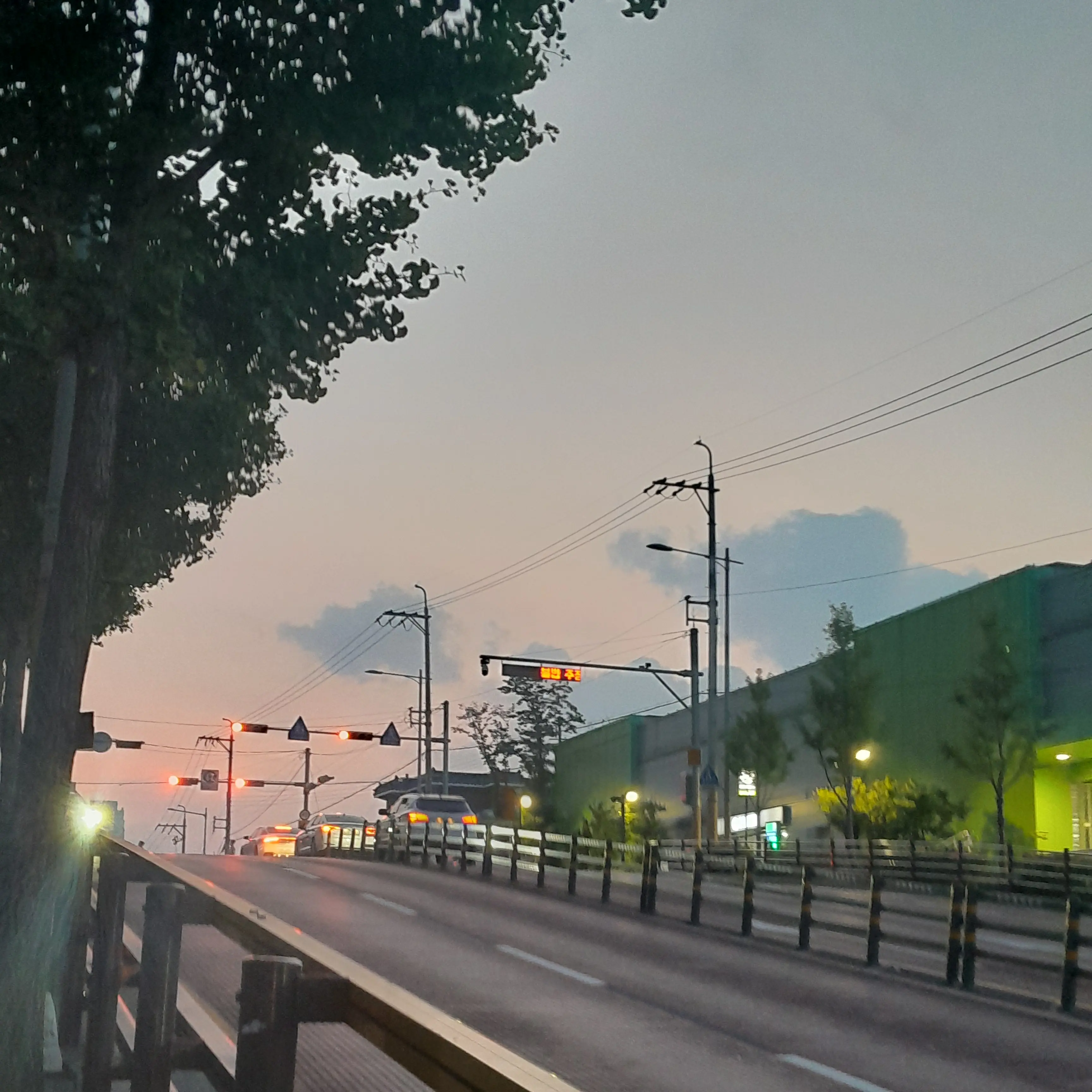 SoreCurry2526의 류와 쌍방임